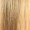 Mixed Brown Color Anime Cosplay Wig