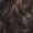 Long Curly Brown Wig