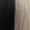 Two-tone Mixed Pink and Black Medium Bob Wig