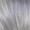 Colonial Judge Nutcracker and Two Realms Cavalier Historical Wig
