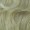 Colonial Ladies 18th Century Curly Blonde Wig