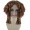 Colonial Ladies 18th Century Wig Brown