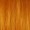Rick and Morty Summer Smith Orange Ponytail Wig