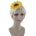 H-4560