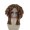 Colonial Ladies 18th Century Wig - Brown