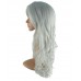 C-004-C-Silver Grey