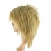 C-006~C-Ash Blonde