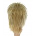 C-006~C-Ash Blonde