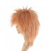 C-006~C-Sgi Salmon