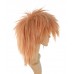 C-006~C-Sgi Salmon