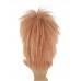 C-006~C-Sgi Salmon