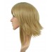 C-008~C-Ash Blonde