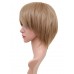 C-009-C-Ash Blonde