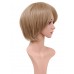 C-009-C-Ash Blonde