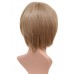 C-009-C-Ash Blonde