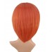 C-009~C-Salmon