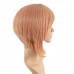 C-014~C-Sgi Salmon