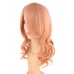 C-015~C-Sgi Salmon