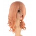 C-015~C-Sgi Salmon