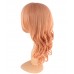 C-015~C-Sgi Salmon