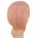 C-022~C-Sgi Salmon