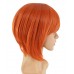 C-026~C-Salmon