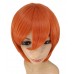 C-026~C-Salmon