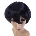 C-043~C-Dark Purple