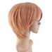 C-043~C-Sgi Salmon