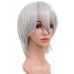 C-044-C-Silver Grey