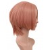 C-047-C-Sgi Salmon