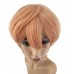 C-058~C-Sgi Salmon