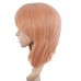 C-067~C-Sgi Salmon