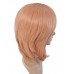 C-067~C-Sgi Salmon