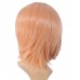 C-067~C-Sgi Salmon