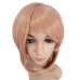 C-067~C-Sgi Salmon