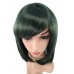 C-069~C-Dark Green