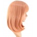 C-069~C-Sgi Salmon
