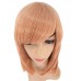 C-069~C-Sgi Salmon