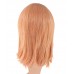 C-070~C-Sgi Salmon