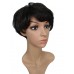 W-567-Dark Brown