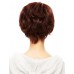 W-586-Auburn