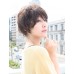 HHB-037