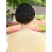 HHB-046