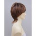 Wigs2you 全假髮 日本正品 常溫絲 斜劉海 短直髮 氣質OL型W-108