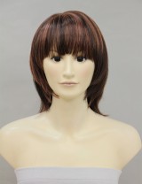 Wigs2you 全假髮 日本正品 常溫絲 齊劉海 中長直髮 氣質OL型W-137