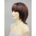 Wigs2you 全假髮 日本正品 常溫絲 齊劉海 中長直髮 氣質OL型W-137