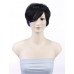 Wigs2you 全假髮 日本正品 短 直 蓬松 斜劉海 清爽 個性 酷 時尚 經典 氣質OL型W-147