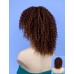 W-319-Charcoal/Golden Auburn Tips