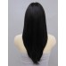 Wigs2you 全假髮 日本正品 齊劉海 高溫絲 長款直髮 氣質 時尚假髮W-777